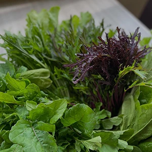 オーガニック野菜