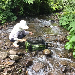 神楽農園　野菜づくり
